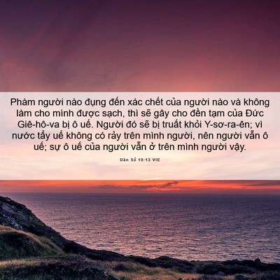 Picture 06 - Dân Số 19:13 VIE - Phàm người nào đụng đến xác chết - Bible Verse Picture