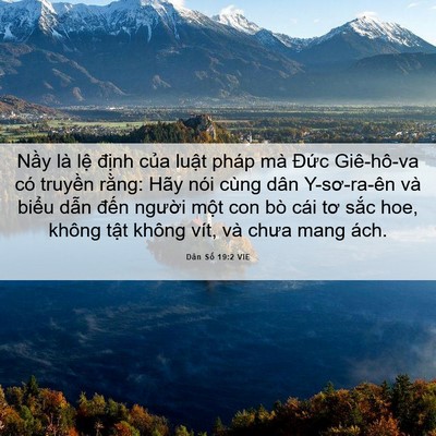 Picture 06 - Dân Số 19:2 VIE - Nầy là lệ định của luật pháp mà - Bible Verse Picture