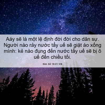 Picture 06 - Dân Số 19:21 VIE - Aáy sẽ là một lệ định đời đời - Bible Verse Picture