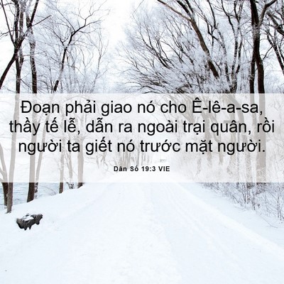Picture 06 - Dân Số 19:3 VIE - Đoạn phải giao nó cho Ê-lê-a-sa, thầy - Bible Verse Picture