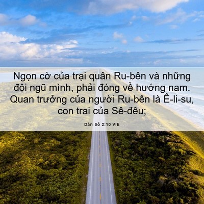Picture 06 - Dân Số 2:10 VIE - Ngọn cờ của trại quân Ru-bên và - Bible Verse Picture