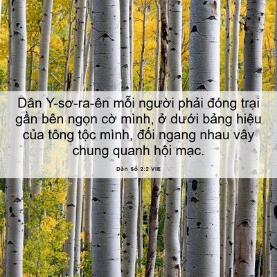 Picture 06 - Dân Số 2:2 VIE - Dân Y-sơ-ra-ên mỗi người phải đóng - Bible Verse Picture