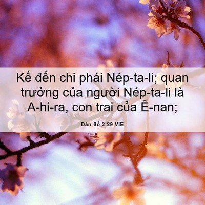 Picture 06 - Dân Số 2:29 VIE - Kế đến chi phái Nép-ta-li; quan trưởng - Bible Verse Picture