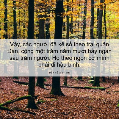 Picture 06 - Dân Số 2:31 VIE - Vậy, các người đã kê sổ theo trại - Bible Verse Picture