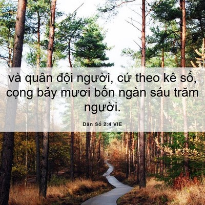 Picture 06 - Dân Số 2:4 VIE - và quân đội người, cứ theo kê sổ, - Bible Verse Picture