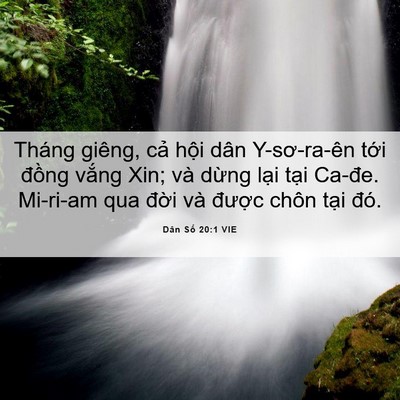 Picture 06 - Dân Số 20:1 VIE - Tháng giêng, cả hội dân Y-sơ-ra-ên tới - Bible Verse Picture