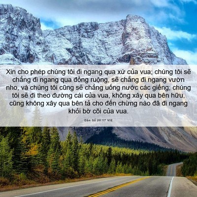 Picture 06 - Dân Số 20:17 VIE - Xin cho phép chúng tôi đi ngang qua xứ - Bible Verse Picture
