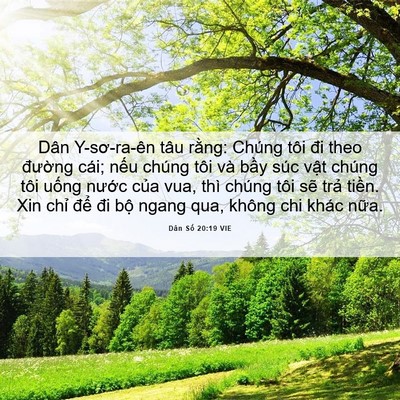 Picture 06 - Dân Số 20:19 VIE - Dân Y-sơ-ra-ên tâu rằng: Chúng tôi đi - Bible Verse Picture