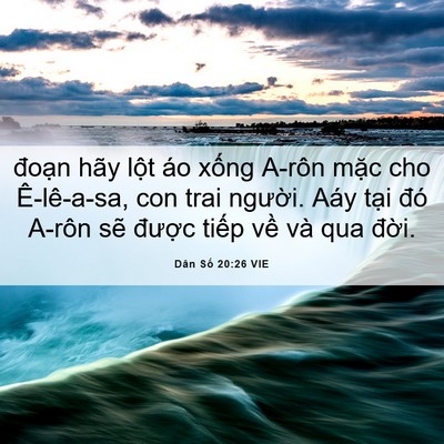 Picture 06 - Dân Số 20:26 VIE - đoạn hãy lột áo xống A-rôn mặc cho - Bible Verse Picture