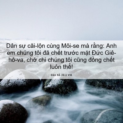 Picture 06 - Dân Số 20:3 VIE - Dân sự cãi-lộn cùng Môi-se mà rằng: - Bible Verse Picture