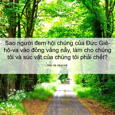 Picture 06 - Dân Số 20:4 VIE - Sao người đem hội chúng của Đức - Bible Verse Picture
