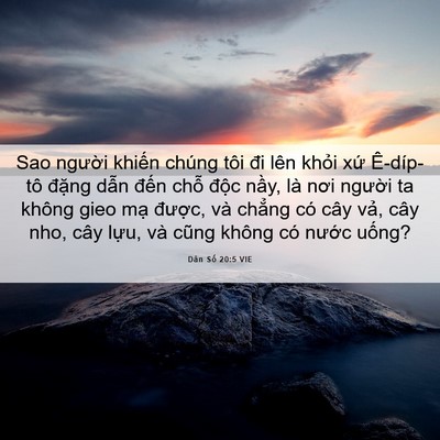 Picture 06 - Dân Số 20:5 VIE - Sao người khiến chúng tôi đi lên khỏi - Bible Verse Picture