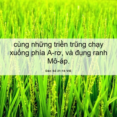 Picture 06 - Dân Số 21:15 VIE - cùng những triền trũng chạy xuống phía - Bible Verse Picture