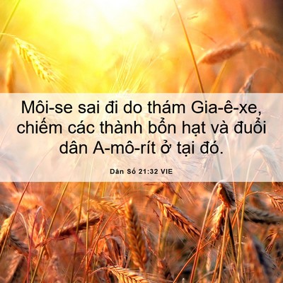 Picture 06 - Dân Số 21:32 VIE - Môi-se sai đi do thám Gia-ê-xe, chiếm các - Bible Verse Picture