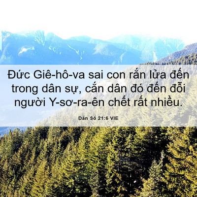 Picture 06 - Dân Số 21:6 VIE - Đức Giê-hô-va sai con rắn lửa đến - Bible Verse Picture