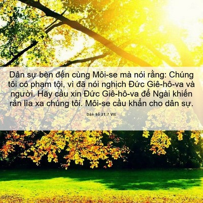 Picture 06 - Dân Số 21:7 VIE - Dân sự bèn đến cùng Môi-se mà nói - Bible Verse Picture