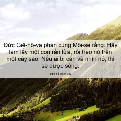 Picture 06 - Dân Số 21:8 VIE - Đức Giê-hô-va phán cùng Môi-se rằng: - Bible Verse Picture