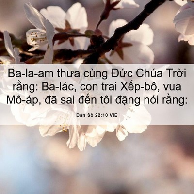 Picture 06 - Dân Số 22:10 VIE - Ba-la-am thưa cùng Đức Chúa Trời rằng: - Bible Verse Picture