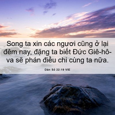 Picture 06 - Dân Số 22:19 VIE - Song ta xin các ngươi cũng ở lại đêm - Bible Verse Picture