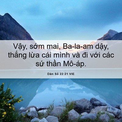 Picture 06 - Dân Số 22:21 VIE - Vậy, sớm mai, Ba-la-am dậy, thắng lừa - Bible Verse Picture