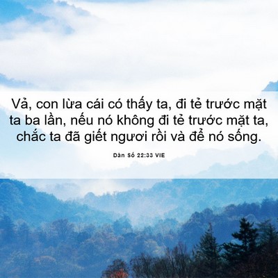 Picture 06 - Dân Số 22:33 VIE - Vả, con lừa cái có thấy ta, đi tẻ - Bible Verse Picture