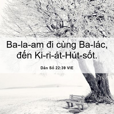 Picture 06 - Dân Số 22:39 VIE - Ba-la-am đi cùng Ba-lác, đến - Bible Verse Picture