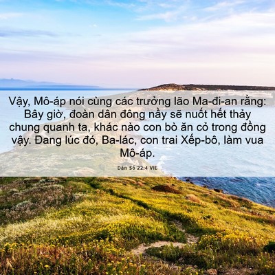 Picture 06 - Dân Số 22:4 VIE - Vậy, Mô-áp nói cùng các trưởng lão - Bible Verse Picture