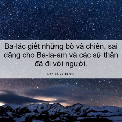 Picture 06 - Dân Số 22:40 VIE - Ba-lác giết những bò và chiên, sai dâng - Bible Verse Picture