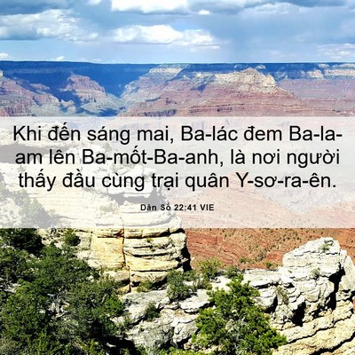 Picture 06 - Dân Số 22:41 VIE - Khi đến sáng mai, Ba-lác đem Ba-la-am lên - Bible Verse Picture