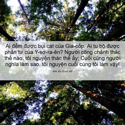 Picture 06 - Dân Số 23:10 VIE - Ai đếm được bụi cát của Gia-cốp, Ai - Bible Verse Picture