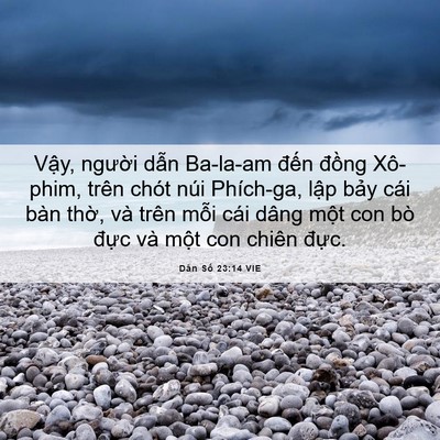 Picture 06 - Dân Số 23:14 VIE - Vậy, người dẫn Ba-la-am đến đồng - Bible Verse Picture