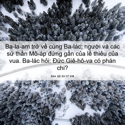 Picture 06 - Dân Số 23:17 VIE - Ba-la-am trở về cùng Ba-lác; người và - Bible Verse Picture