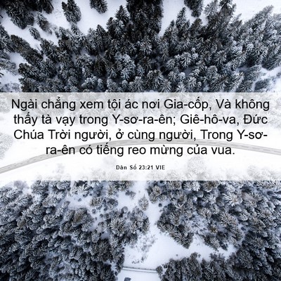 Picture 06 - Dân Số 23:21 VIE - Ngài chẳng xem tội ác nơi Gia-cốp, Và - Bible Verse Picture