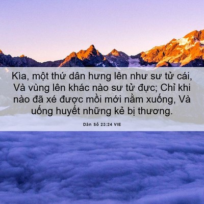 Picture 06 - Dân Số 23:24 VIE - Kìa, một thứ dân hưng lên như sư tử - Bible Verse Picture