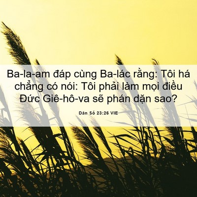 Picture 06 - Dân Số 23:26 VIE - Ba-la-am đáp cùng Ba-lác rằng: Tôi há - Bible Verse Picture