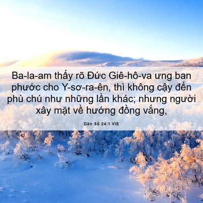 Picture 06 - Dân Số 24:1 VIE - Ba-la-am thấy rõ Đức Giê-hô-va ưng ban - Bible Verse Picture