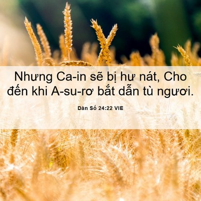 Picture 06 - Dân Số 24:22 VIE - Nhưng Ca-in sẽ bị hư nát, Cho đến khi - Bible Verse Picture