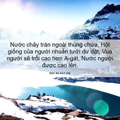 Picture 06 - Dân Số 24:7 VIE - Nước chảy tràn ngoài thùng chứa, Hột - Bible Verse Picture