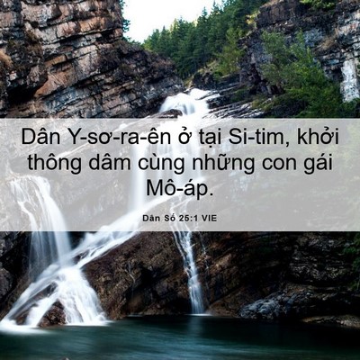 Picture 06 - Dân Số 25:1 VIE - Dân Y-sơ-ra-ên ở tại Si-tim, khởi thông - Bible Verse Picture