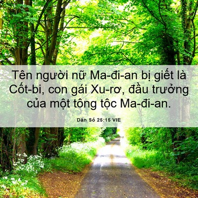 Picture 06 - Dân Số 25:15 VIE - Tên người nữ Ma-đi-an bị giết là - Bible Verse Picture