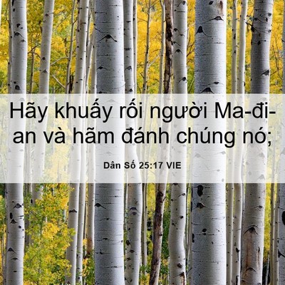 Picture 06 - Dân Số 25:17 VIE - Hãy khuấy rối người Ma-đi-an và hãm - Bible Verse Picture