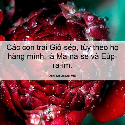 Picture 06 - Dân Số 26:28 VIE - Các con trai Giô-sép, tùy theo họ hàng - Bible Verse Picture