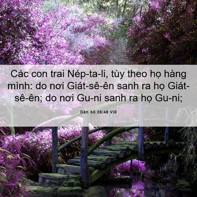 Picture 06 - Dân Số 26:48 VIE - Các con trai Nép-ta-li, tùy theo họ hàng - Bible Verse Picture