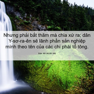 Picture 06 - Dân Số 26:55 VIE - Nhưng phải bắt thăm mà chia xứ ra; dân - Bible Verse Picture