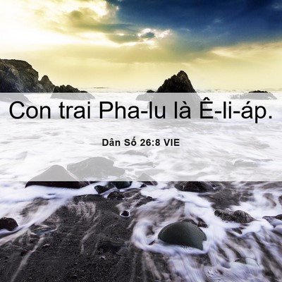 Picture 06 - Dân Số 26:8 VIE - Con trai Pha-lu là - Bible Verse Picture