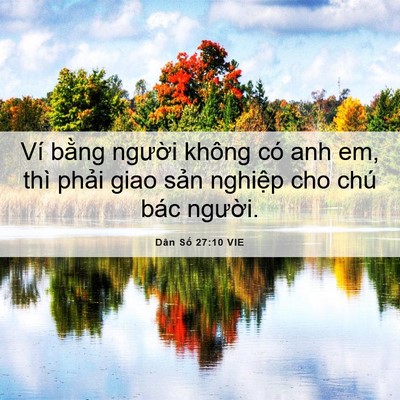 Picture 06 - Dân Số 27:10 VIE - Ví bằng người không có anh em, thì - Bible Verse Picture