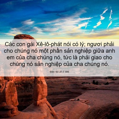 Picture 06 - Dân Số 27:7 VIE - Các con gái Xê-lô-phát nói có lý; ngươi - Bible Verse Picture