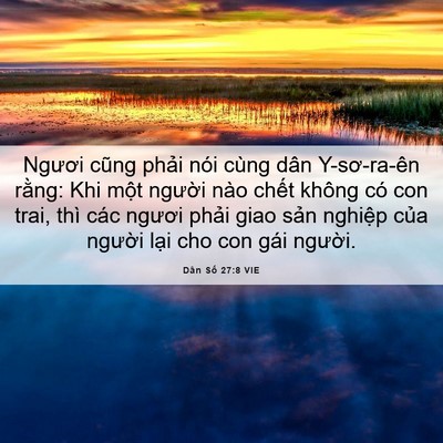 Picture 06 - Dân Số 27:8 VIE - Ngươi cũng phải nói cùng dân Y-sơ-ra-ên - Bible Verse Picture