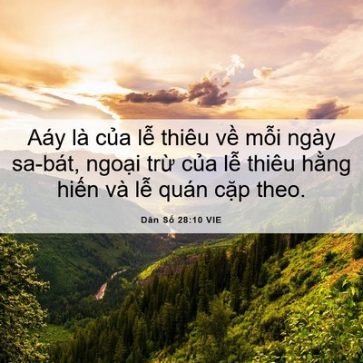 Picture 06 - Dân Số 28:10 VIE - Aáy là của lễ thiêu về mỗi ngày - Bible Verse Picture