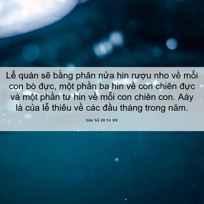 Picture 06 - Dân Số 28:14 VIE - Lễ quán sẽ bằng phân nửa hin rượu - Bible Verse Picture